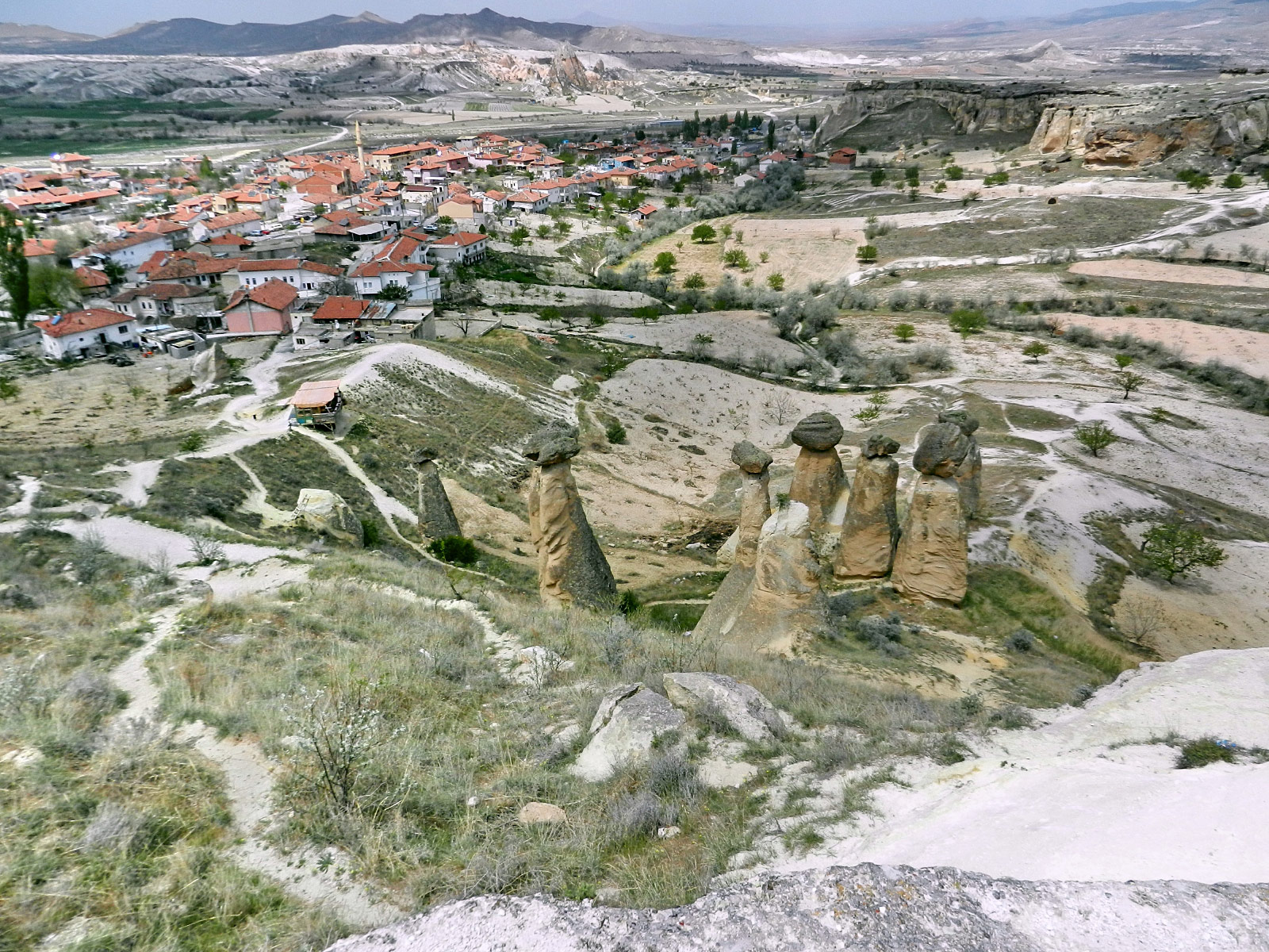 Cavusin